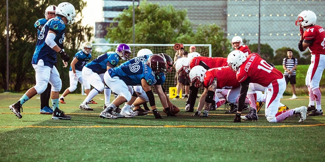 Футбольное и регбийное поле