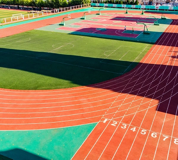 Университет