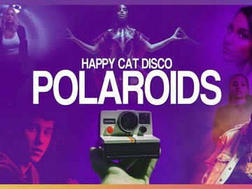 2019 Megamashup (Polaroids) - Happy Cat Disco